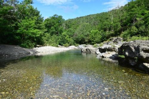 une rivière au milieu d'une forêt dans l'établissement Gîte de la Tour, à Alès