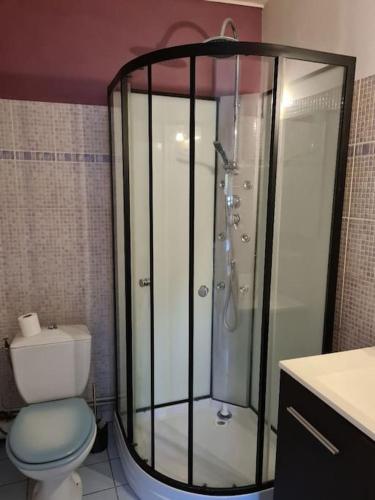 une salle de bain avec douche et toilettes dans l'établissement Confortable maison à la campagne, à Les Fougères