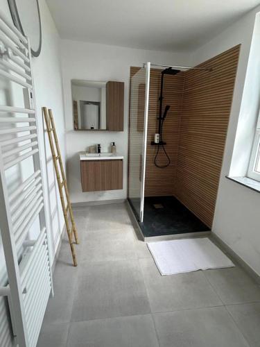 a bathroom with a shower and a sink at L'Orée des Manants in Charleroi