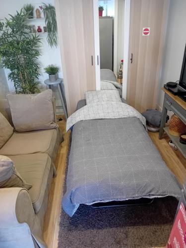 un salon avec deux lits et un canapé dans l'établissement Le Cocon Cosy proche gare, à Sainte-Geneviève-des-Bois