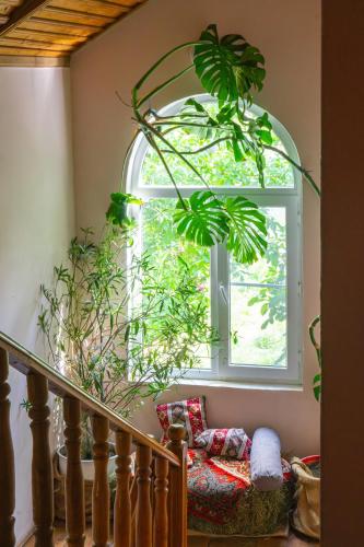a room with a window with a couch and a plant at The Forgotten Kingdom in Lchashen
