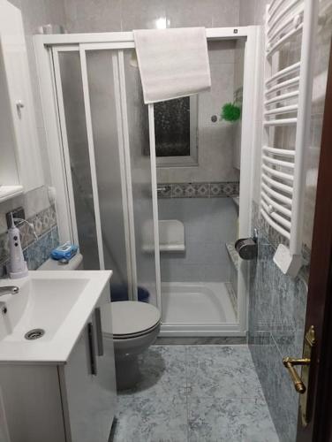 a bathroom with a shower and a toilet and a sink at CASA RAMI especial parejas in San Martín del Rey Aurelio