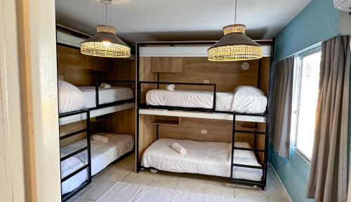 a room with four bunk beds in a room at ZAG Coliving Punta del este in Punta del Este