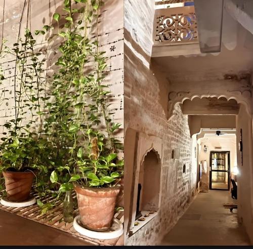 Fotografie z fotogalerie ubytování Casa De Jodhpur v destinaci Džódhpur
