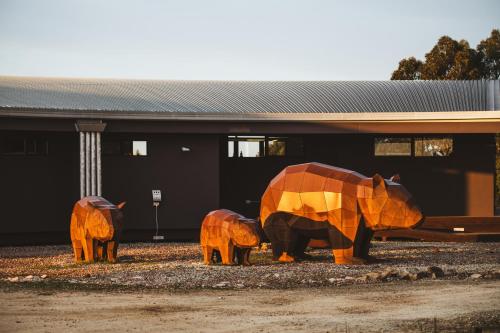 ロッジの敷地内または近くにいる動物