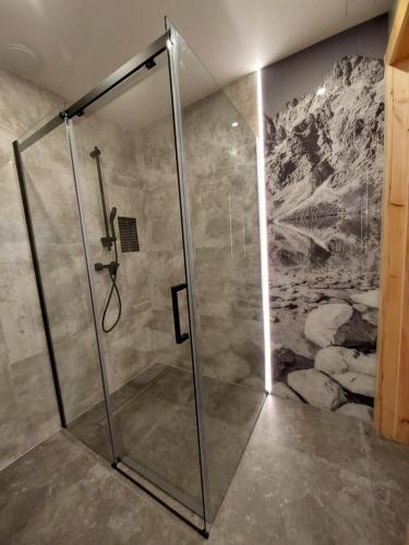 a shower in a bathroom with a painting on the wall at Willa Maciejka in Trybsz