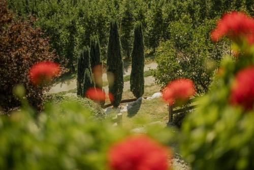 a garden with trees and a bunch of red flowers at Pension Moarhof in Feldthurns