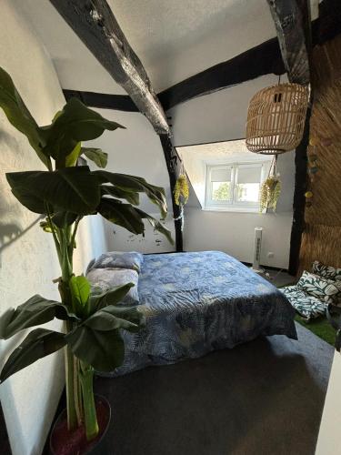 a bedroom with a bed and a potted plant at Jungle Cosy in Louviers