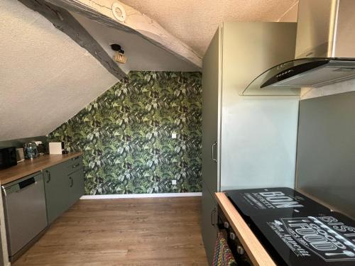 a kitchen with a stove and a green wall at Jungle Cosy in Louviers