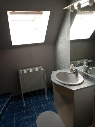 une salle de bain avec un lavabo et des toilettes et une fenêtre dans l'établissement Gîte de la forge, à Giel