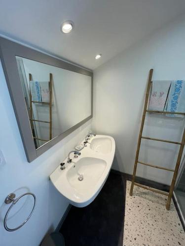 une salle de bain avec un lavabo et un miroir dans l'établissement Le Meix Joséphine Tournissoux, à Fleurie