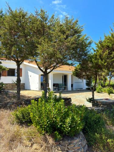a house with trees in front of it at Villa Haass in Stintino