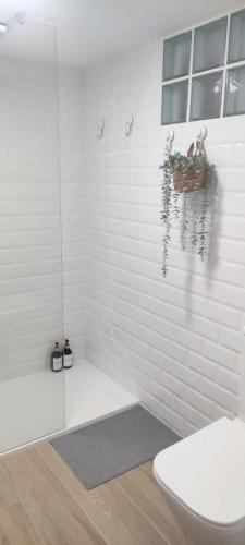 a bathroom with a toilet and a plant on the wall at Apartamento Villa Rizos in Mairena del Aljarafe
