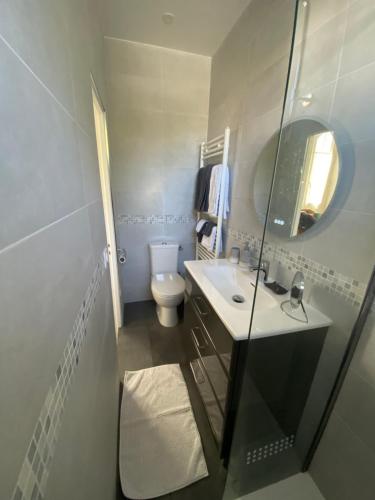 a bathroom with a toilet and a sink and a mirror at Les Charmettes chambre d hôtes indépendante in Villemoisson-sur-Orge