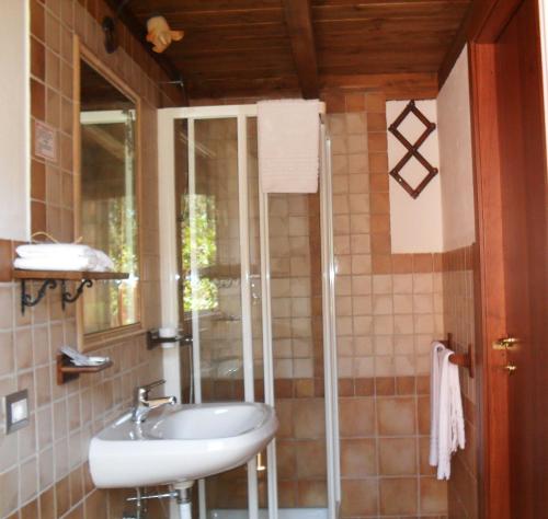 uma casa de banho com um lavatório e uma cabina de duche em vidro. em Il Vigneto B&B em Gonnesa