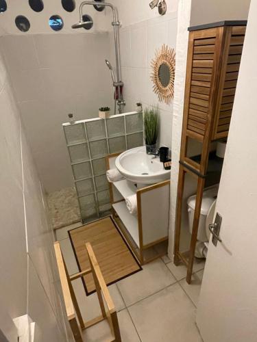 Bilik mandi di Maison proche aéroport Abymes