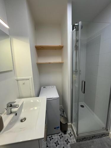 a bathroom with a shower and a sink and a toilet at Bel appartement Ouest Parisien in Boulogne-Billancourt