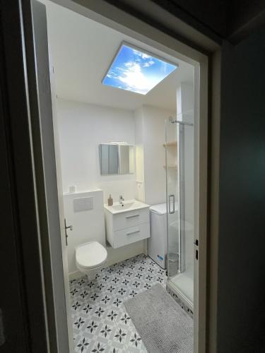 a bathroom with a toilet and a sink with a skylight at Bel appartement Ouest Parisien in Boulogne-Billancourt