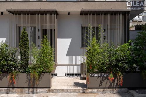 Cilea Apartments photo 39
