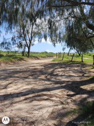 a dirt road with a tree on the side at Bangalô Lygia in Florianópolis