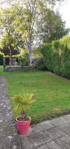 une plante en pot assise sur le côté d'une cour dans l'établissement Syb'elle étape, à Thury-sous-Clermont