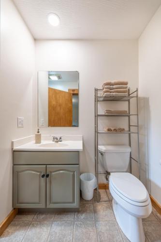a bathroom with a toilet and a sink at Maple Leaf Cabin in Millersburg