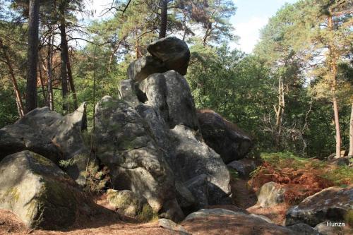 Natuurlandschap vlak bij het appartement