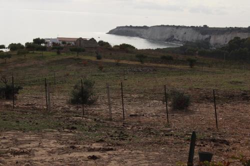 Paisaje cerca de este bed & breakfast