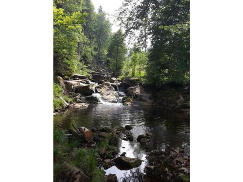 a river with rocks and trees in the background at Holiday apartment Haus Bodefurt - Apartment 2 in Altenbrak