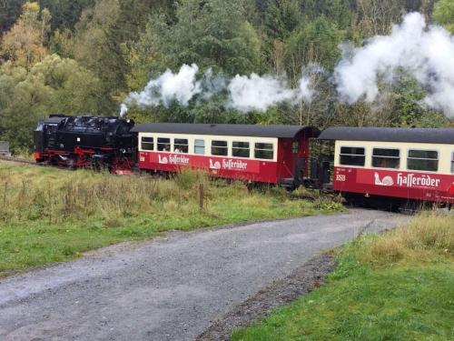 a red and white train traveling down the tracks at Holiday apartment Haus Bodefurt - Apartment 2 in Altenbrak