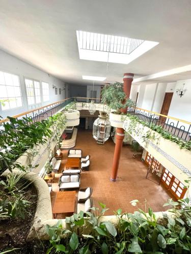 a large room filled with lots of plants at Piropos de Doñana in El Rocío