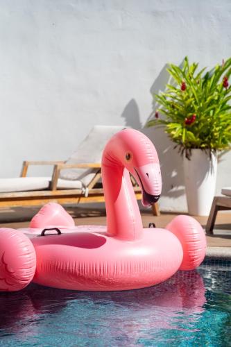 a pink inflatable flamingo float in a pool at Hotel Por Qué No in Uvita
