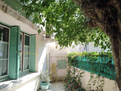une maison avec une porte verte et un arbre dans l'établissement Maison Vintage - Clim - Wifi - Parking dans la rue, à Avignon