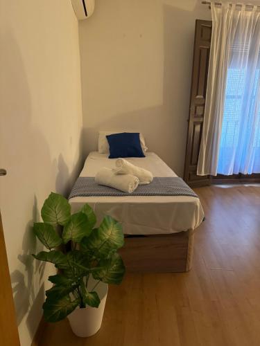 La Sal Home Toledo 2