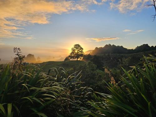 a sunset over a field with a tree on a hill at Tamata Estate House Farm stay in Marokopa