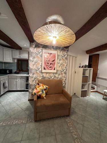 - un salon avec un canapé et un grand lustre dans l'établissement Studio Brin Damour, à Sillans-la-Cascade