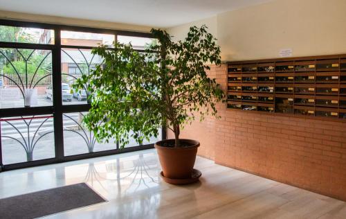 a plant in a pot in a room with a brick wall at MBS Marconi Bridge Suites Guest House in Rome