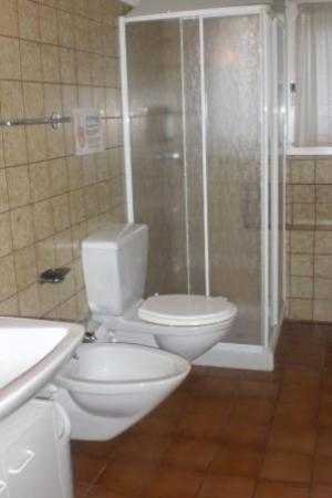 マッジャにあるAppartamento La Rusticanaのバスルーム(トイレ、ガラス張りのシャワー付)