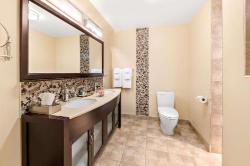 a bathroom with a sink and a toilet and a mirror at Best Western Plus NorWester Hotel & Conference Centre in Thunder Bay