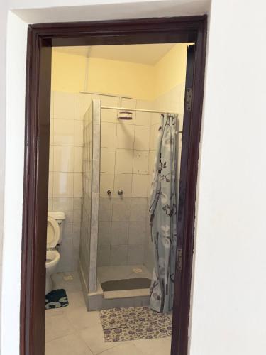 a bathroom with a shower and a toilet at Sunrise Apartments in Nyali