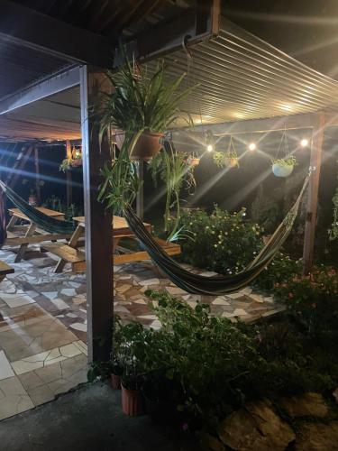 a hammock in the middle of a garden at night at Hostal Vista Boquete in Bajo Boquete