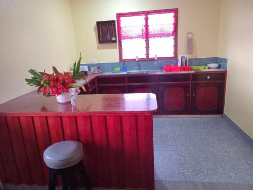a kitchen with a counter with a vase of flowers at Dream Paradise Apartment in Korotogo