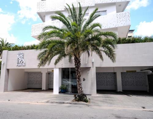 Fotografie z fotogalerie ubytování Refa 304 v destinaci Santo Domingo