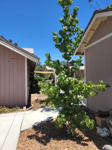 Κήπος έξω από το Temecula Wine Country Ranch with 200 year old oaks
