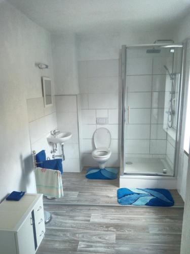 a bathroom with a shower and a toilet and a sink at Zur Schlinge in Siebenhitz