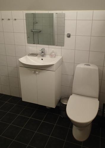 a bathroom with a white toilet and a sink at Åreguiderna - Bubblans lägenheter Åre Torg in Åre