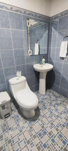 a bathroom with a toilet and a sink at Casa Osa Azul in Puerto Jiménez