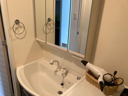 a bathroom with a sink with a hair dryer on it at ホテル小樽キャナルビュー AMS海宝樓 in Otaru