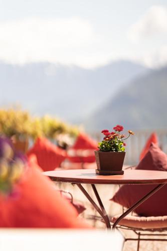 a table with a potted plant on top of it at Schloss Hotel Korb in Appiano sulla Strada del Vino
