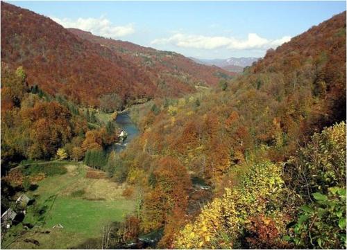 a view of a river in the middle of a forest at Holiday Home Vesna in Brod na Kupi